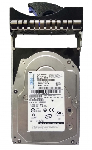 Жесткий диск IBM CA06778-B15900BA 73,4Gb 10000 SAS 3,5" HDD