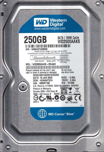 Жесткий диск Western Digital WD2500AAKS 250Gb  SATAII 3.5" HDD