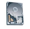 Жесткий диск Maxtor STM3300620A 300Gb 7200 IDE 3.5" HDD