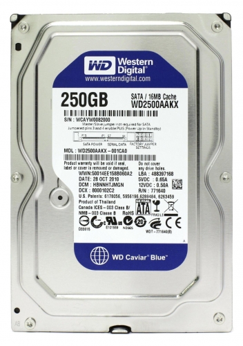 Жесткий диск Western Digital WD2500AAKX 250Gb  SATAIII 3,5" HDD